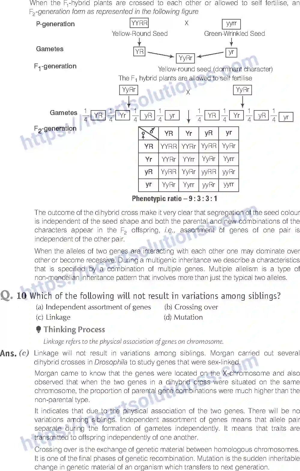 NCERT-Exemplar-Solution-Class-12-Biology-Principle-of-Inheritance-and-Variations-18-page-5