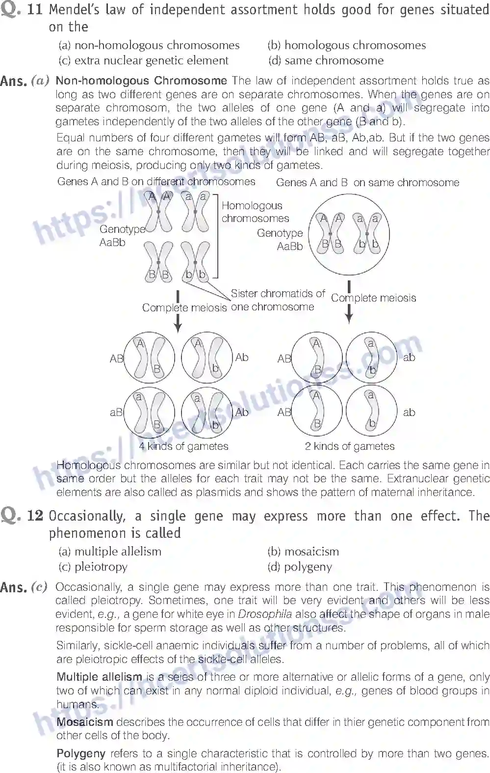 NCERT-Exemplar-Solution-Class-12-Biology-Principle-of-Inheritance-and-Variations-18-page-6