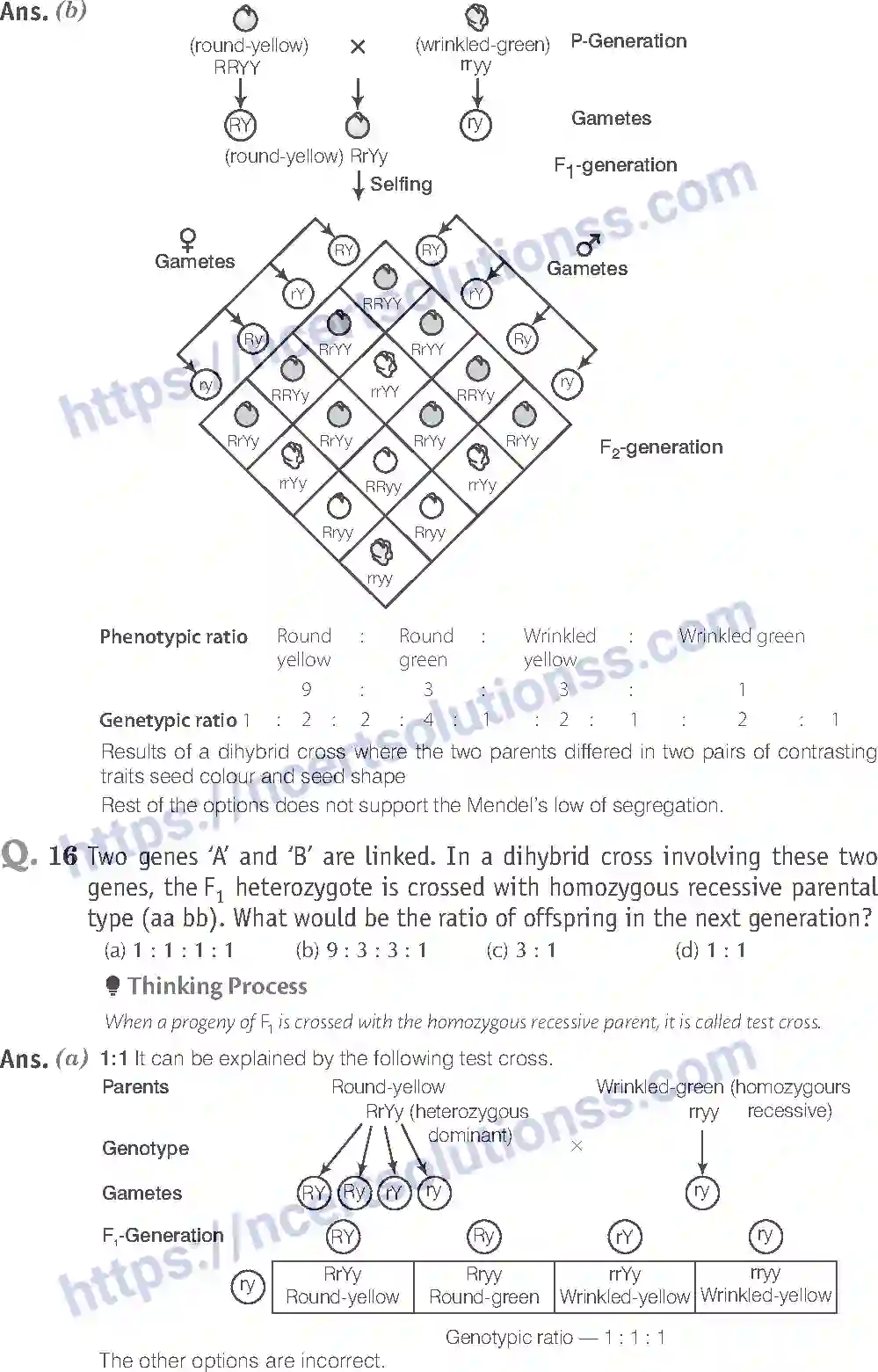 NCERT-Exemplar-Solution-Class-12-Biology-Principle-of-Inheritance-and-Variations-18-page-8