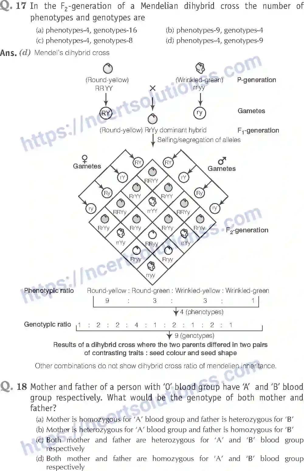 NCERT-Exemplar-Solution-Class-12-Biology-Principle-of-Inheritance-and-Variations-18-page-9