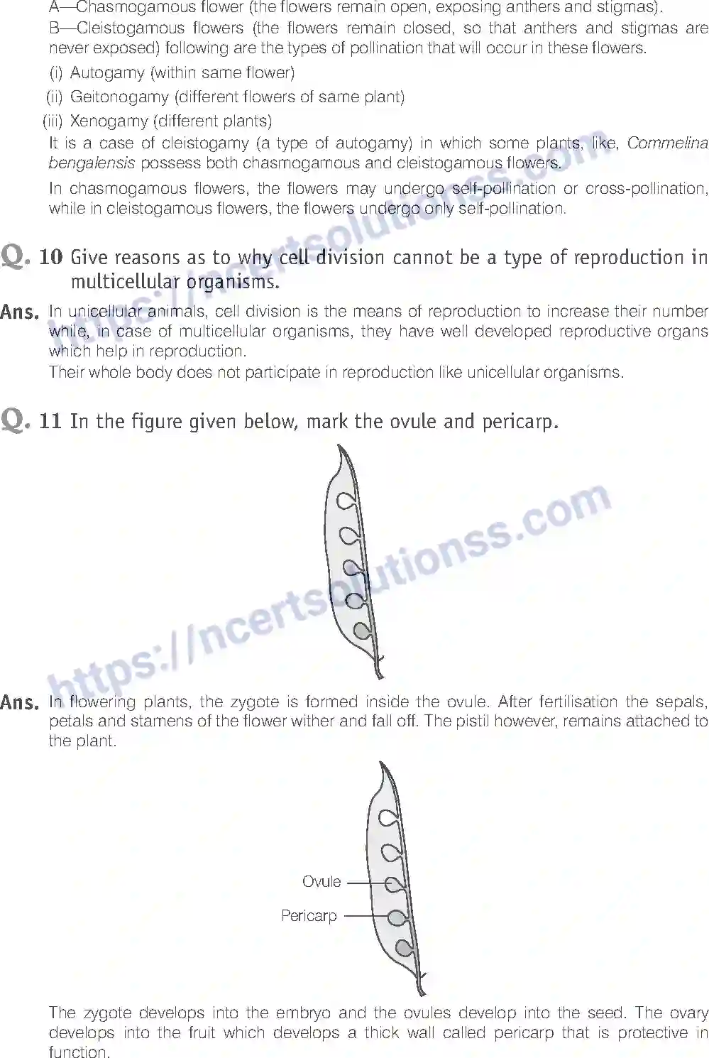 NCERT-Exemplar-Solution-Class-12-Biology-Reproduction-in-Organisms-14-page-10