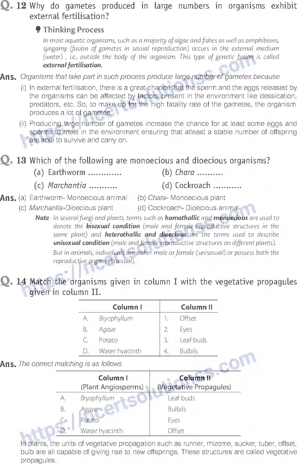 NCERT-Exemplar-Solution-Class-12-Biology-Reproduction-in-Organisms-14-page-11