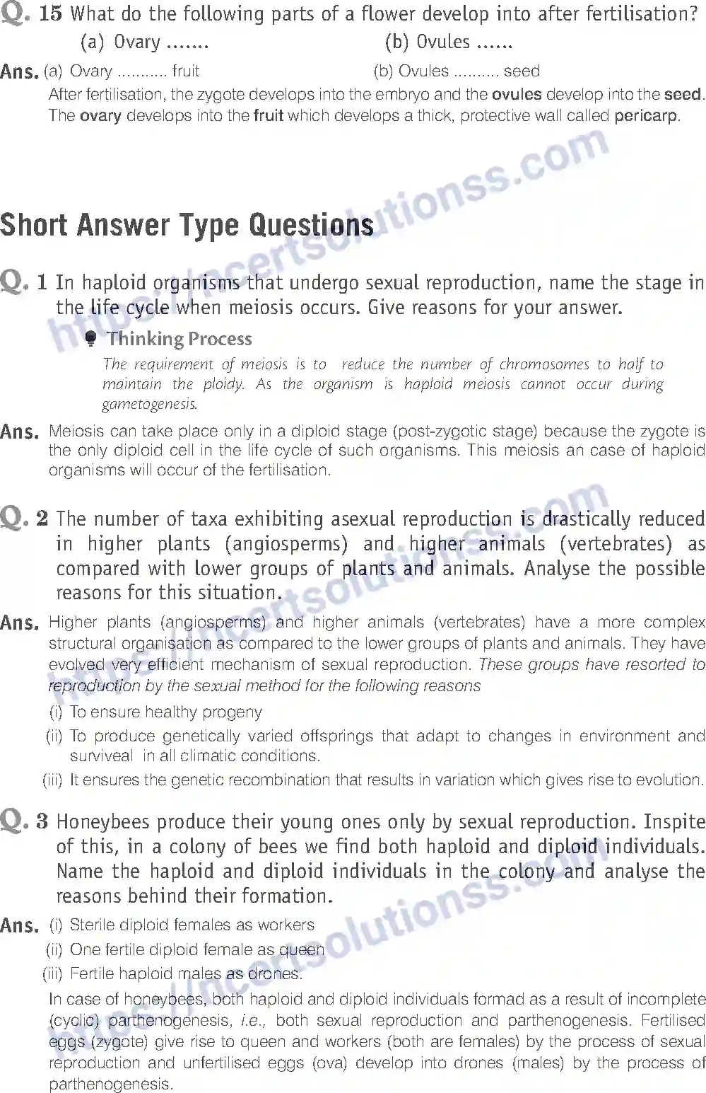 NCERT-Exemplar-Solution-Class-12-Biology-Reproduction-in-Organisms-14-page-12
