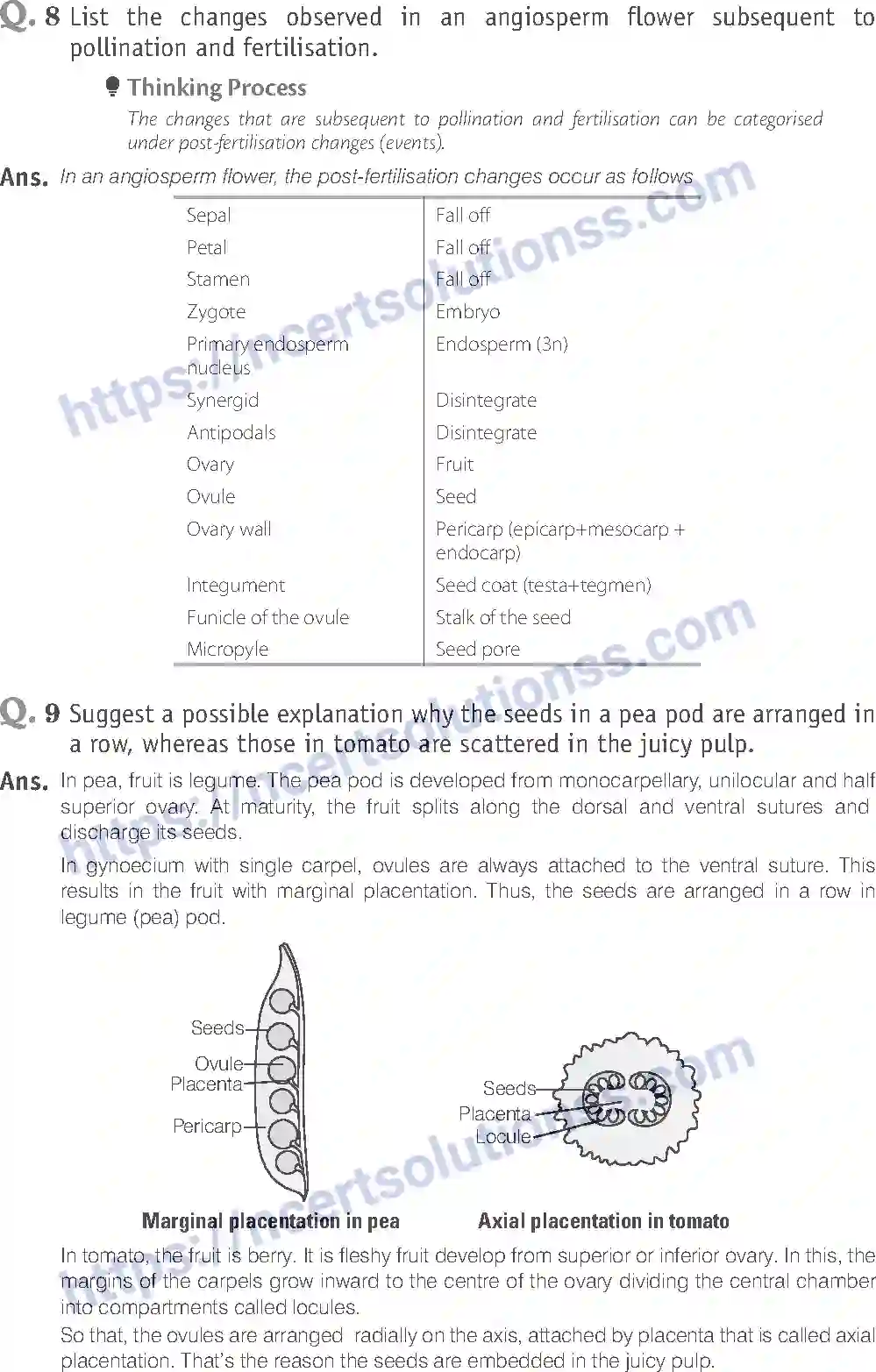 NCERT-Exemplar-Solution-Class-12-Biology-Reproduction-in-Organisms-14-page-14