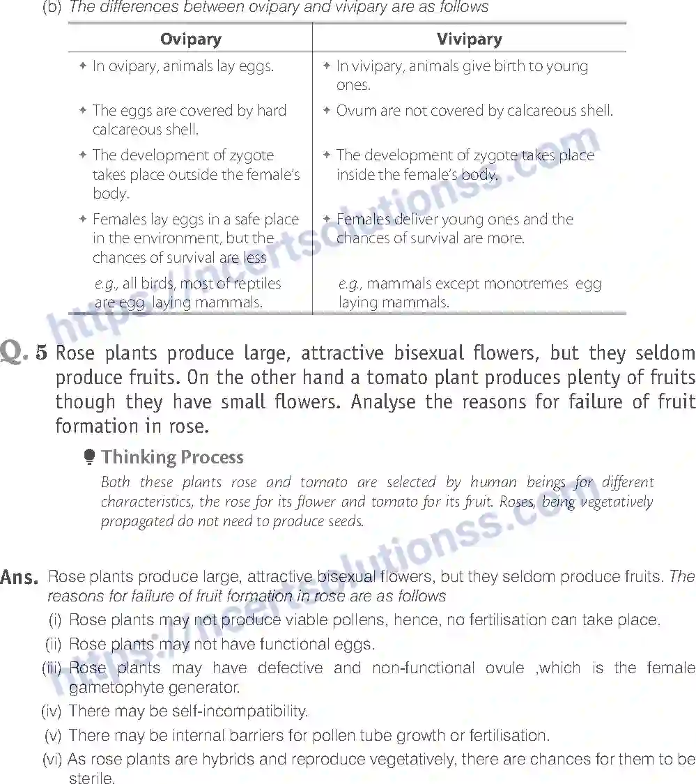 NCERT-Exemplar-Solution-Class-12-Biology-Reproduction-in-Organisms-14-page-18