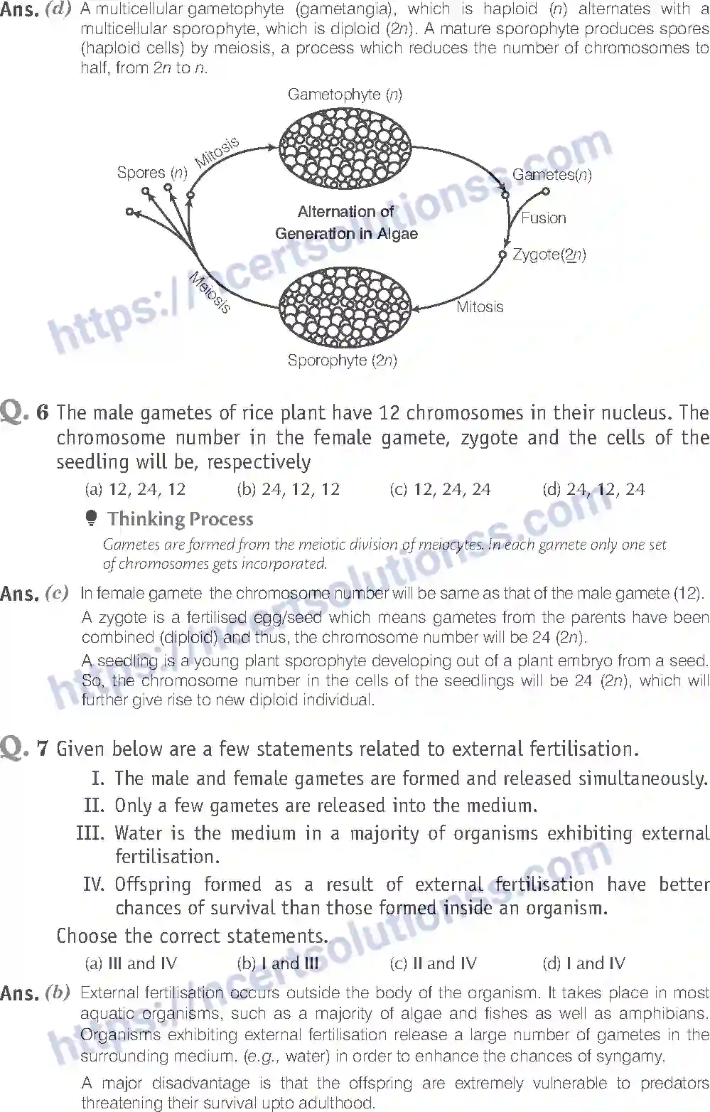 NCERT-Exemplar-Solution-Class-12-Biology-Reproduction-in-Organisms-14-page-3