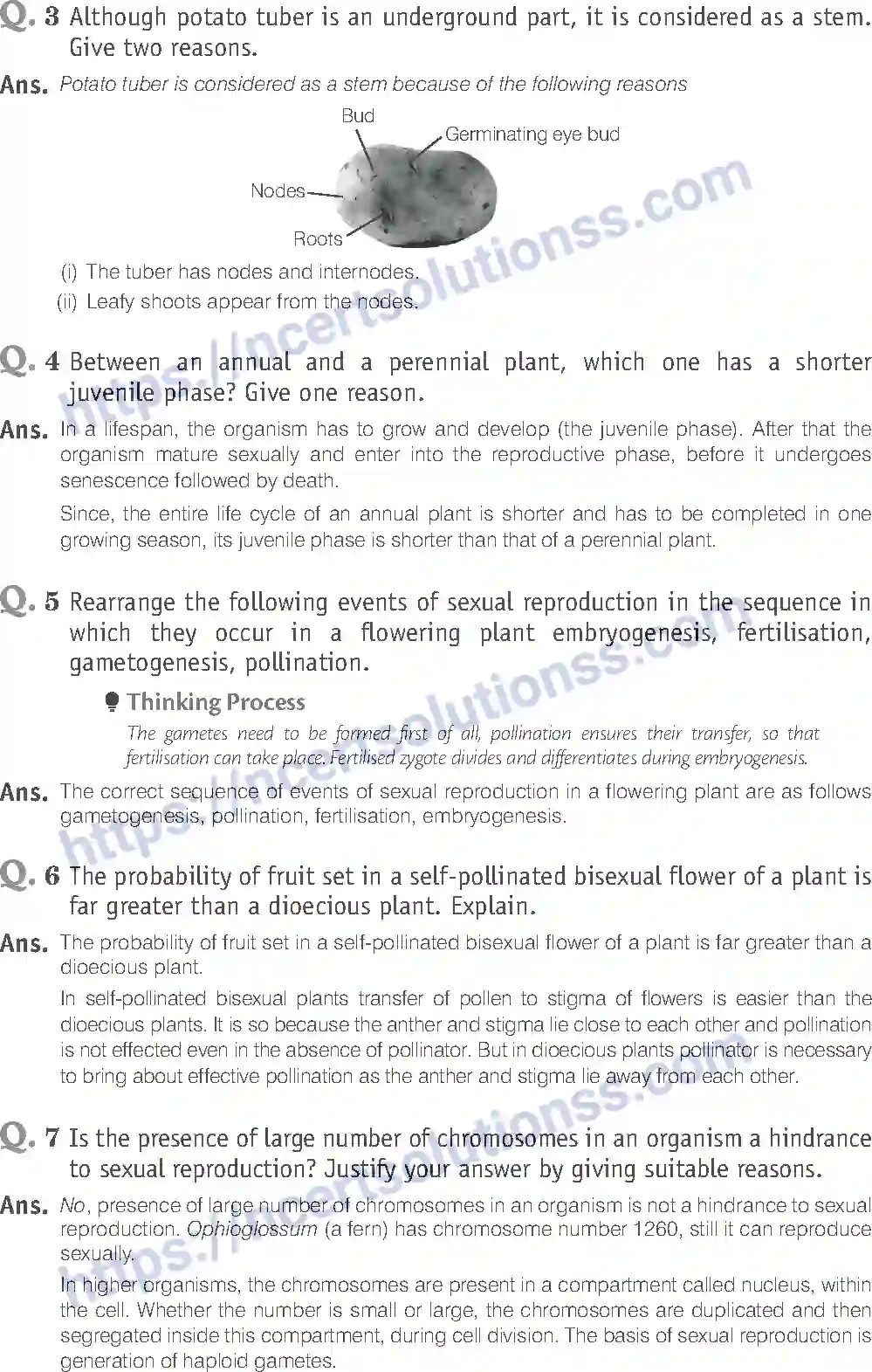 NCERT-Exemplar-Solution-Class-12-Biology-Reproduction-in-Organisms-14-page-8