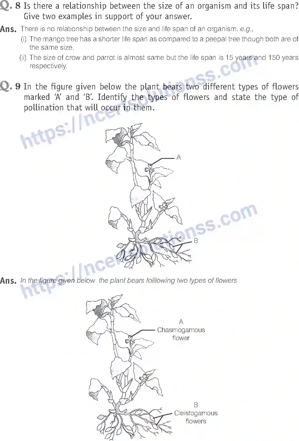 NCERT-Exemplar-Solution-Class-12-Biology-Reproduction-in-Organisms-14-page-9