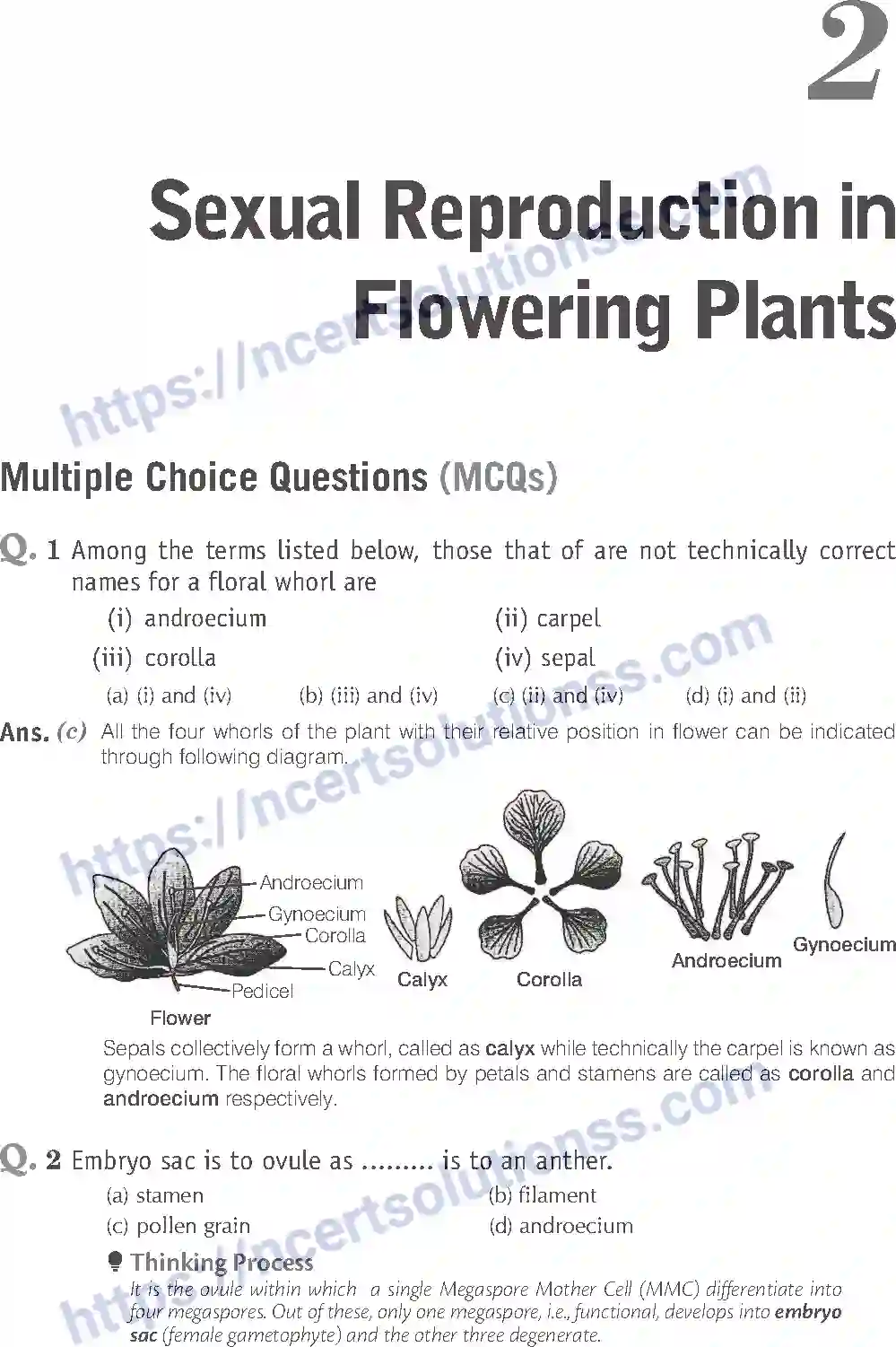 NCERT-Exemplar-Solution-Class-12-Biology-Sexual-Reproduction-in-Flowering-Plants-15-page-1