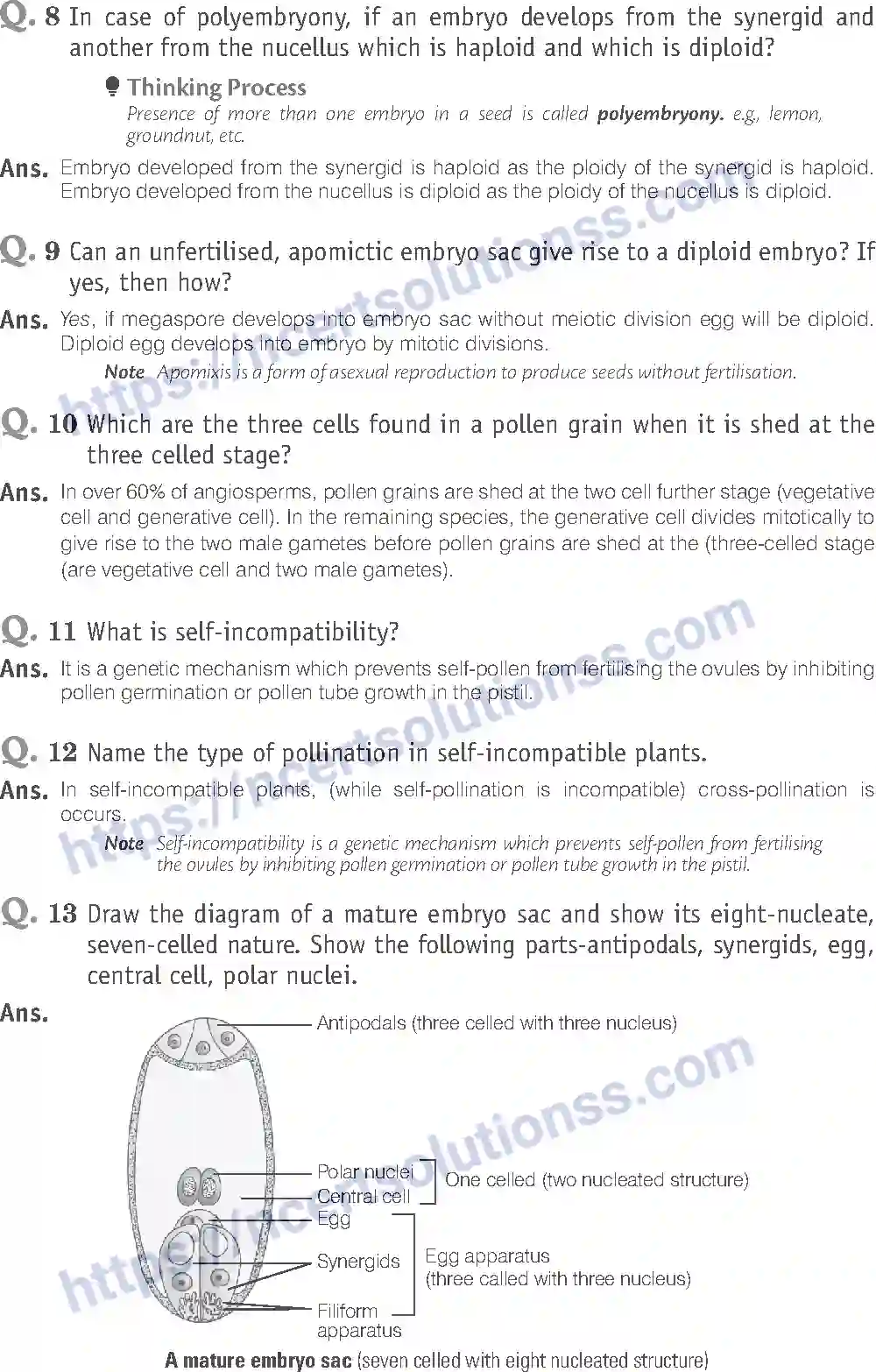 NCERT-Exemplar-Solution-Class-12-Biology-Sexual-Reproduction-in-Flowering-Plants-15-page-12