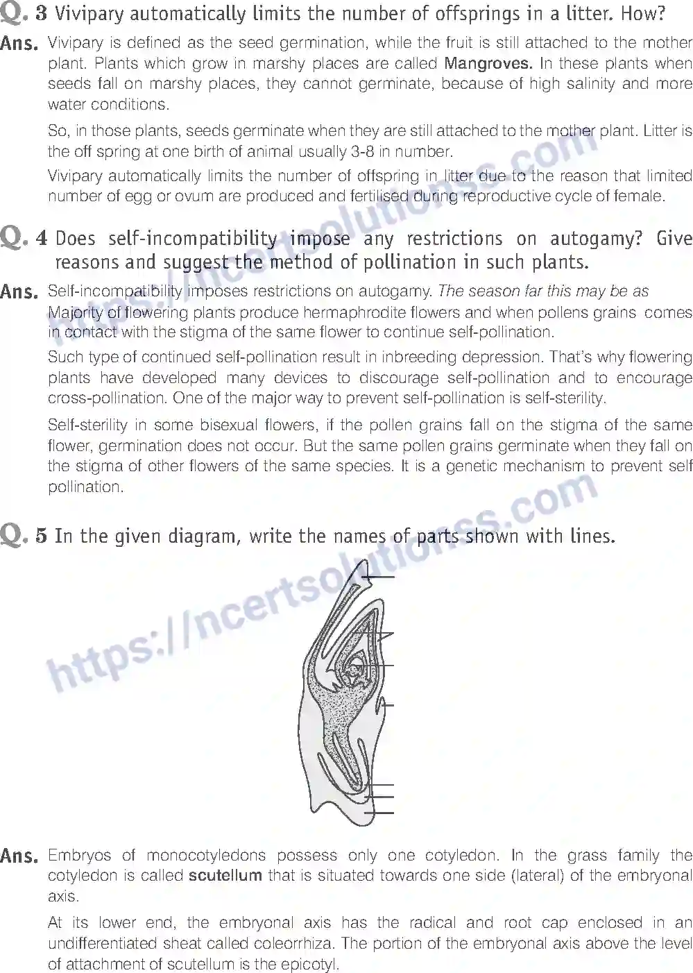 NCERT-Exemplar-Solution-Class-12-Biology-Sexual-Reproduction-in-Flowering-Plants-15-page-16