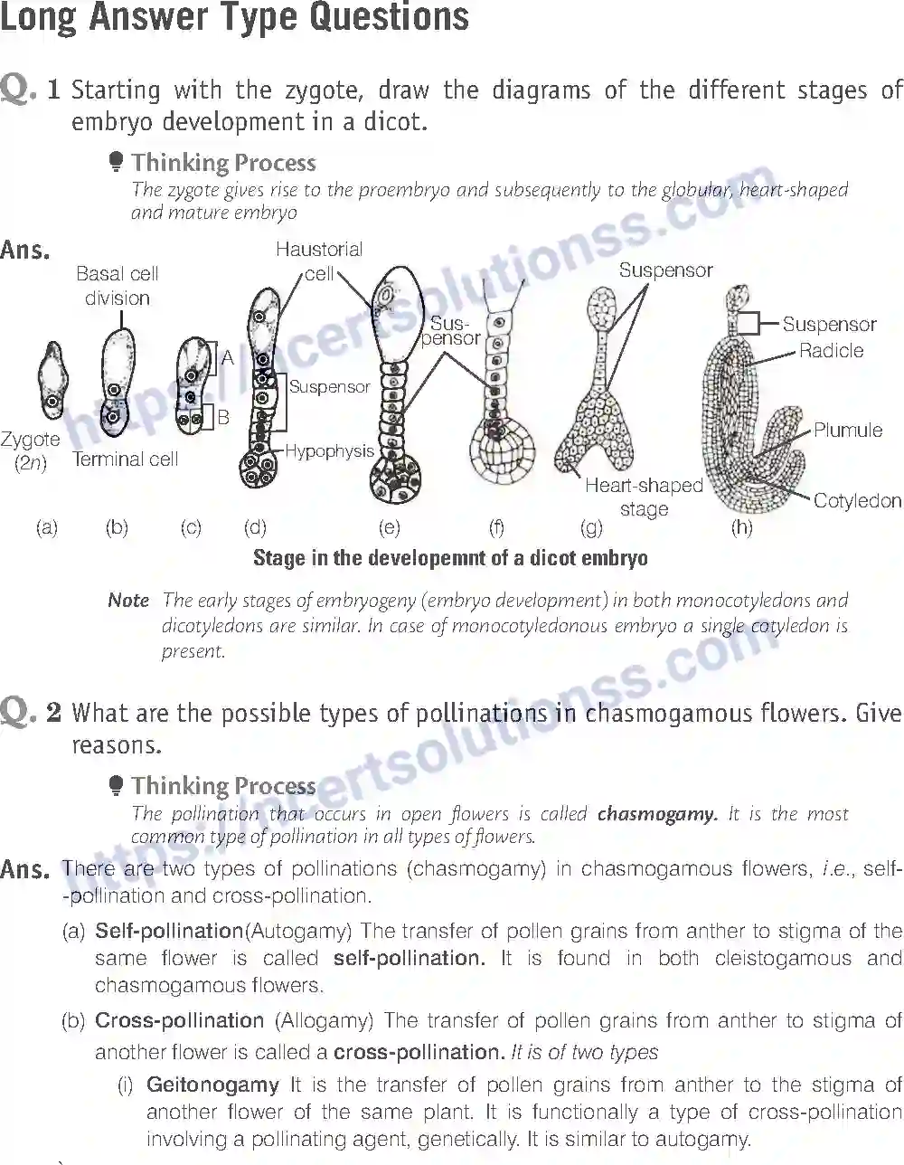 NCERT-Exemplar-Solution-Class-12-Biology-Sexual-Reproduction-in-Flowering-Plants-15-page-19