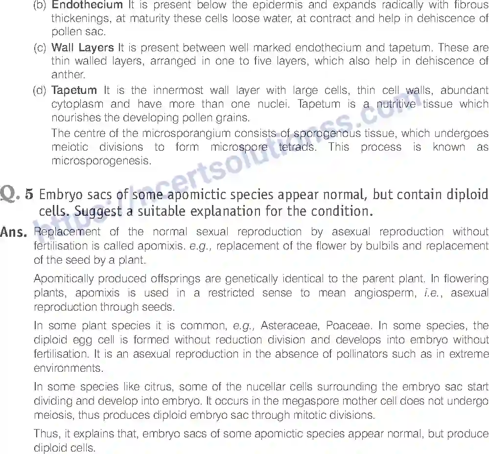 NCERT-Exemplar-Solution-Class-12-Biology-Sexual-Reproduction-in-Flowering-Plants-15-page-22