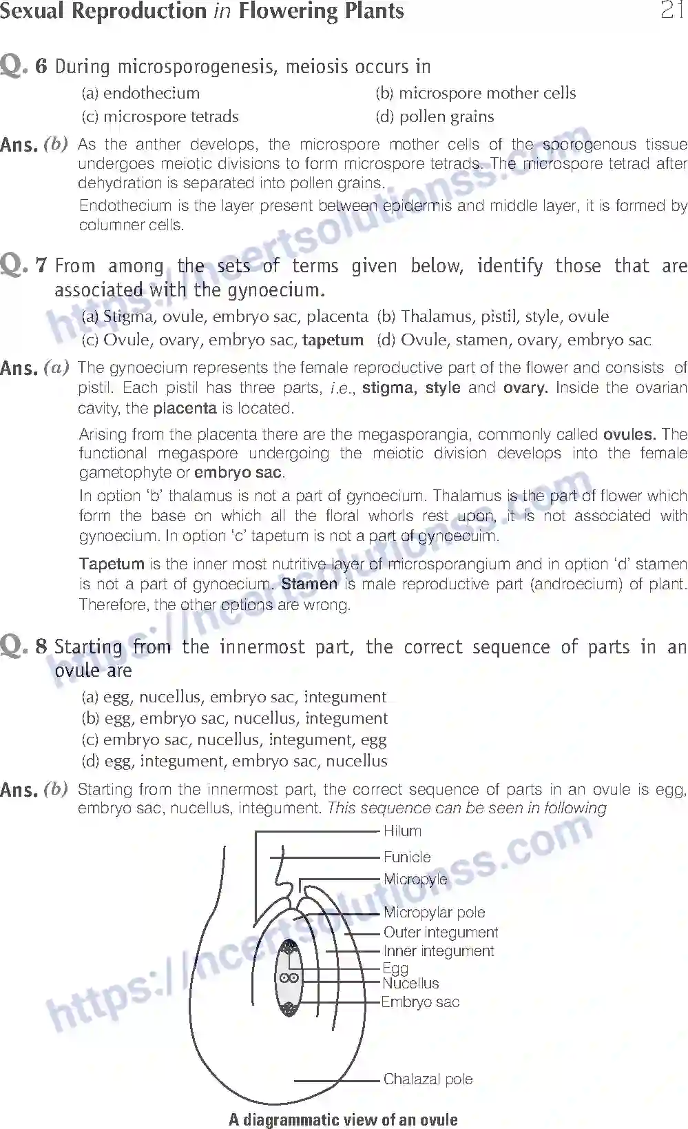 NCERT-Exemplar-Solution-Class-12-Biology-Sexual-Reproduction-in-Flowering-Plants-15-page-3