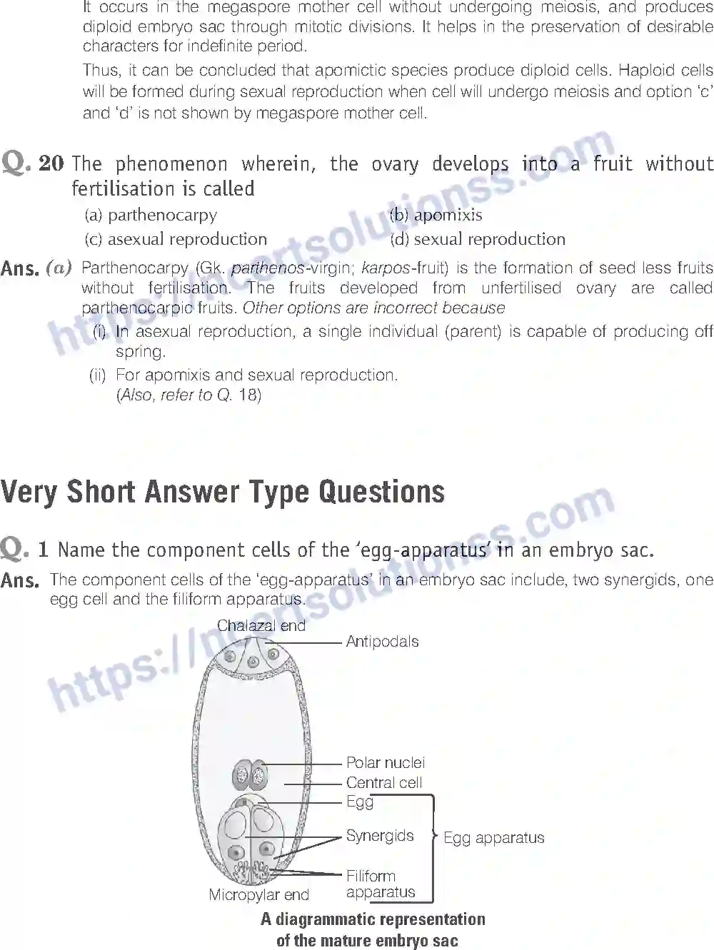 NCERT-Exemplar-Solution-Class-12-Biology-Sexual-Reproduction-in-Flowering-Plants-15-page-8