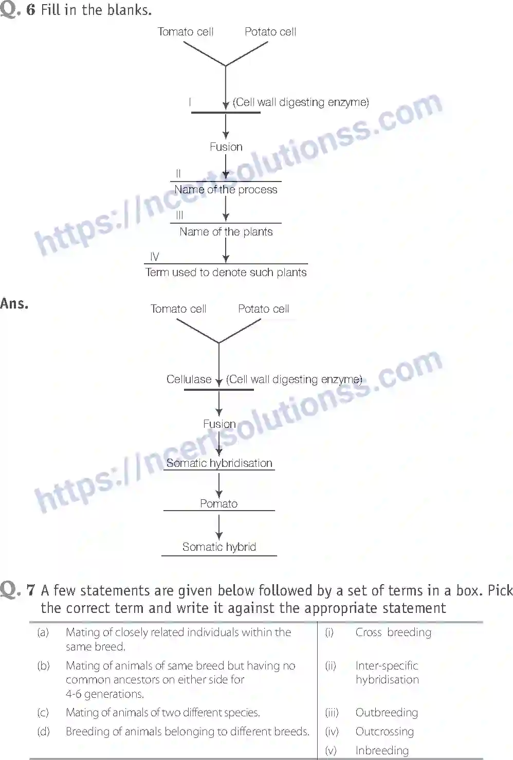 NCERT-Exemplar-Solution-Class-12-Biology-Strategies-for-Enhancement-in-Food-Production-22-page-8