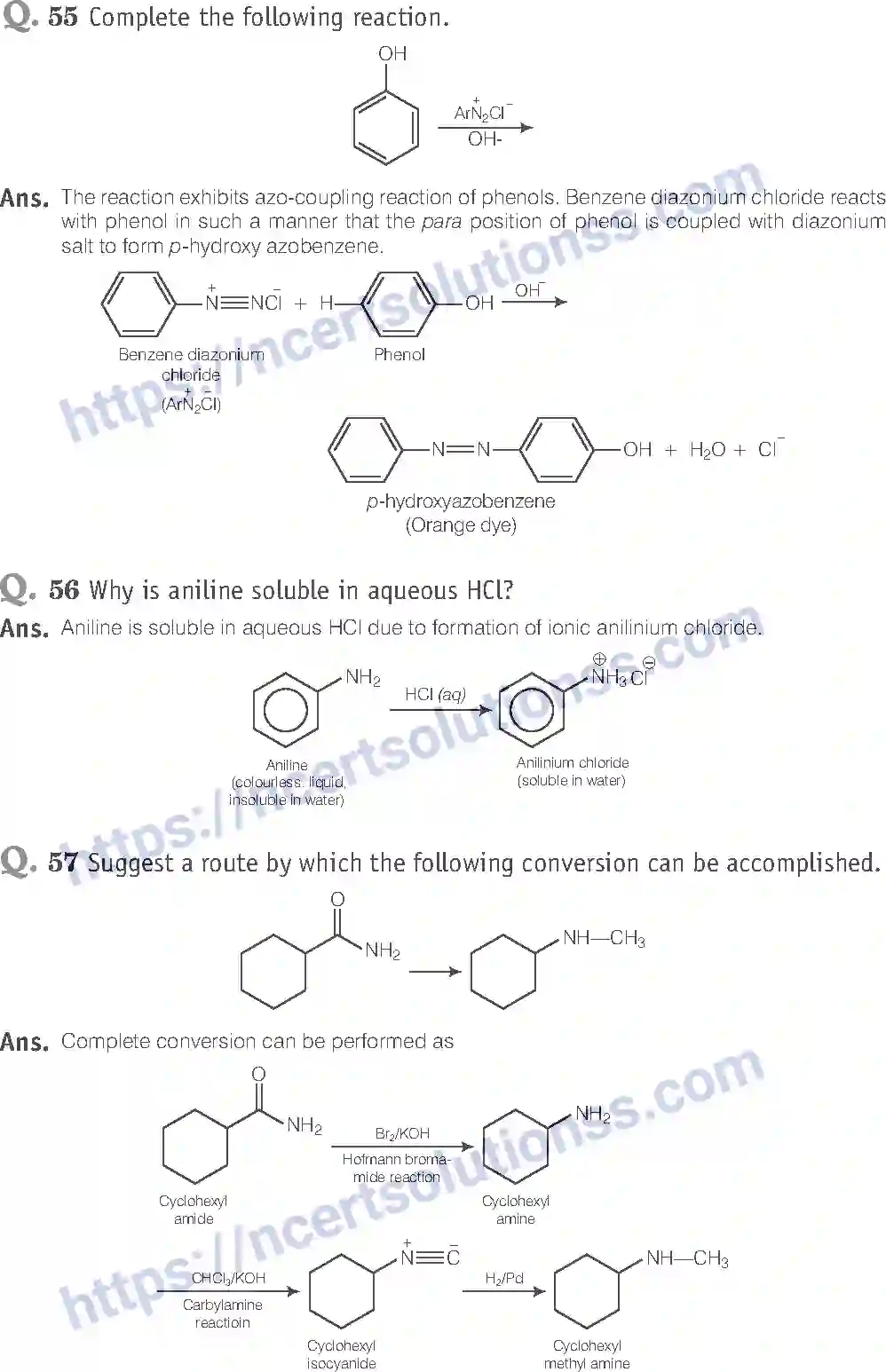 NCERT-Exemplar-Solution-Class-12-Chemistry-Amines-42-page-20