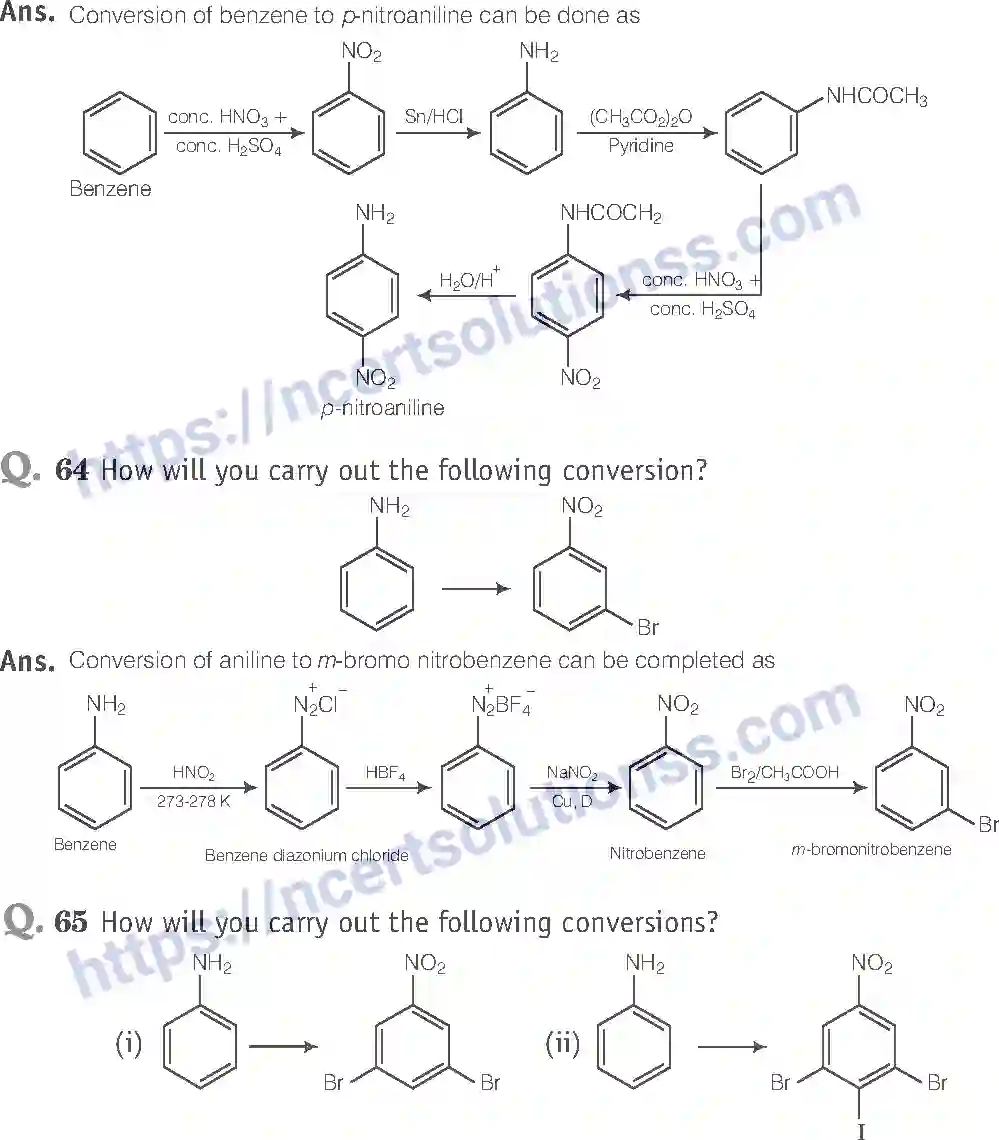 NCERT-Exemplar-Solution-Class-12-Chemistry-Amines-42-page-24
