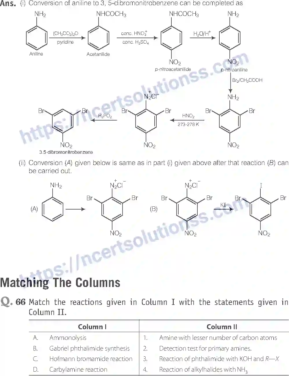 NCERT-Exemplar-Solution-Class-12-Chemistry-Amines-42-page-25