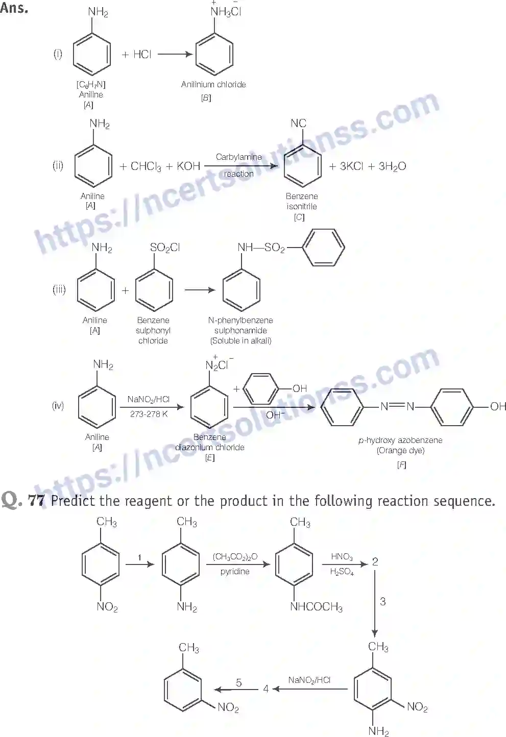 NCERT-Exemplar-Solution-Class-12-Chemistry-Amines-42-page-30