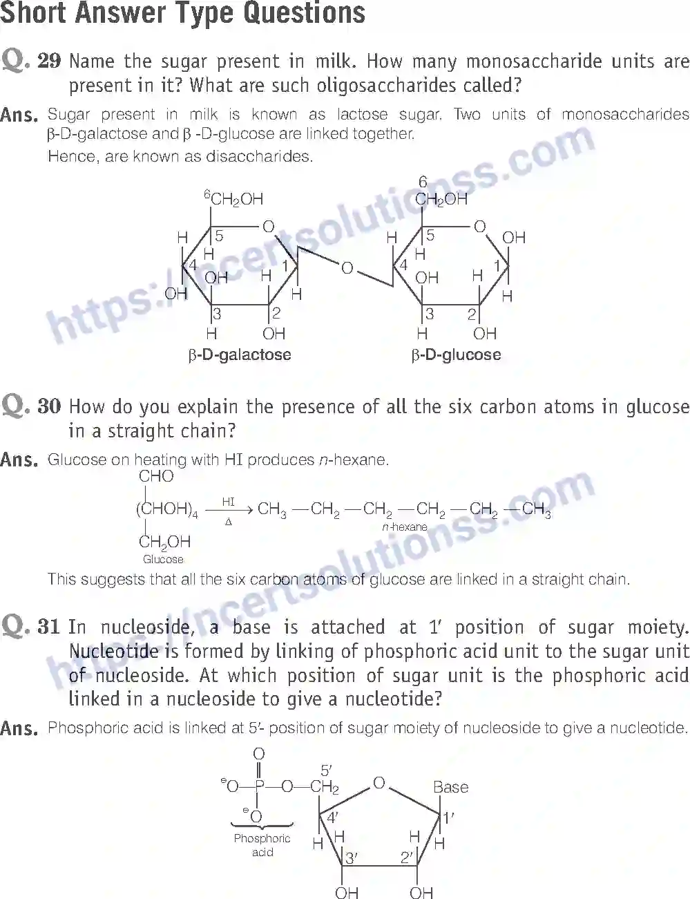 NCERT-Exemplar-Solution-Class-12-Chemistry-Biomolecules-43-page-14