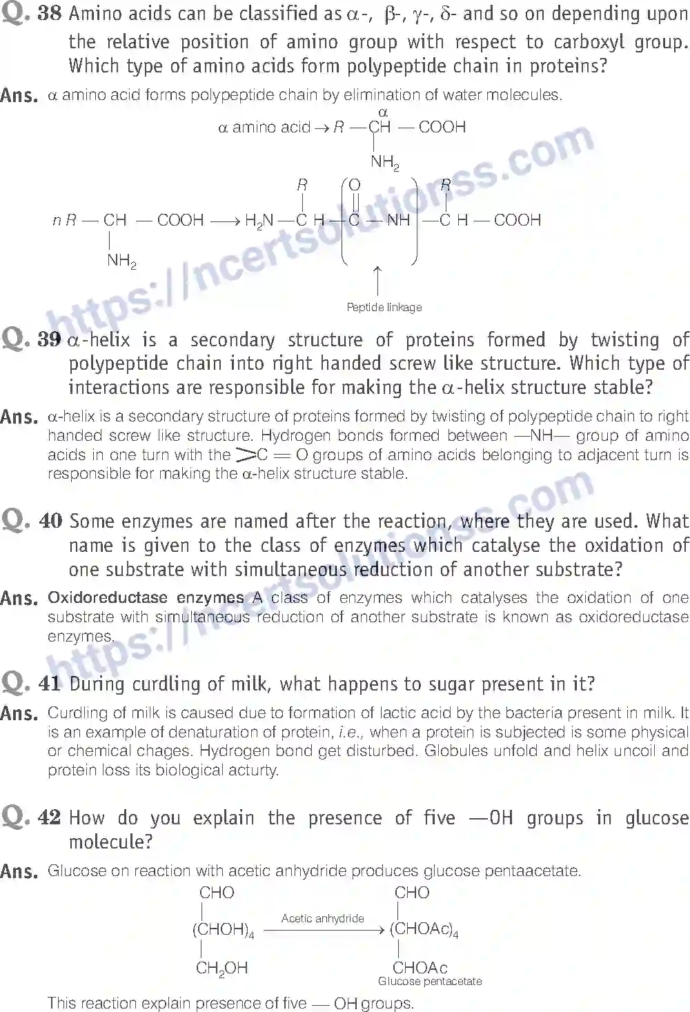 NCERT-Exemplar-Solution-Class-12-Chemistry-Biomolecules-43-page-17