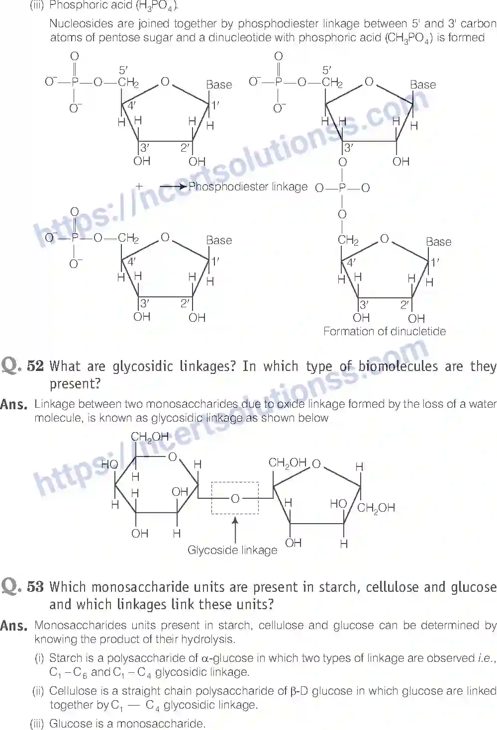 NCERT-Exemplar-Solution-Class-12-Chemistry-Biomolecules-43-page-20