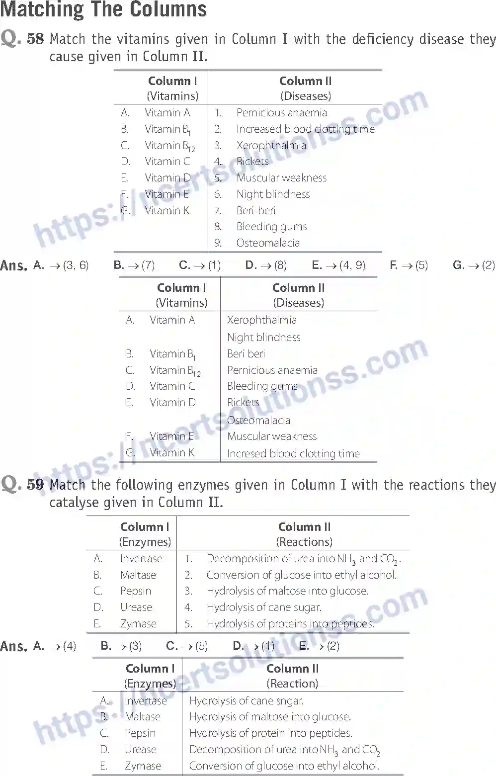 NCERT-Exemplar-Solution-Class-12-Chemistry-Biomolecules-43-page-22