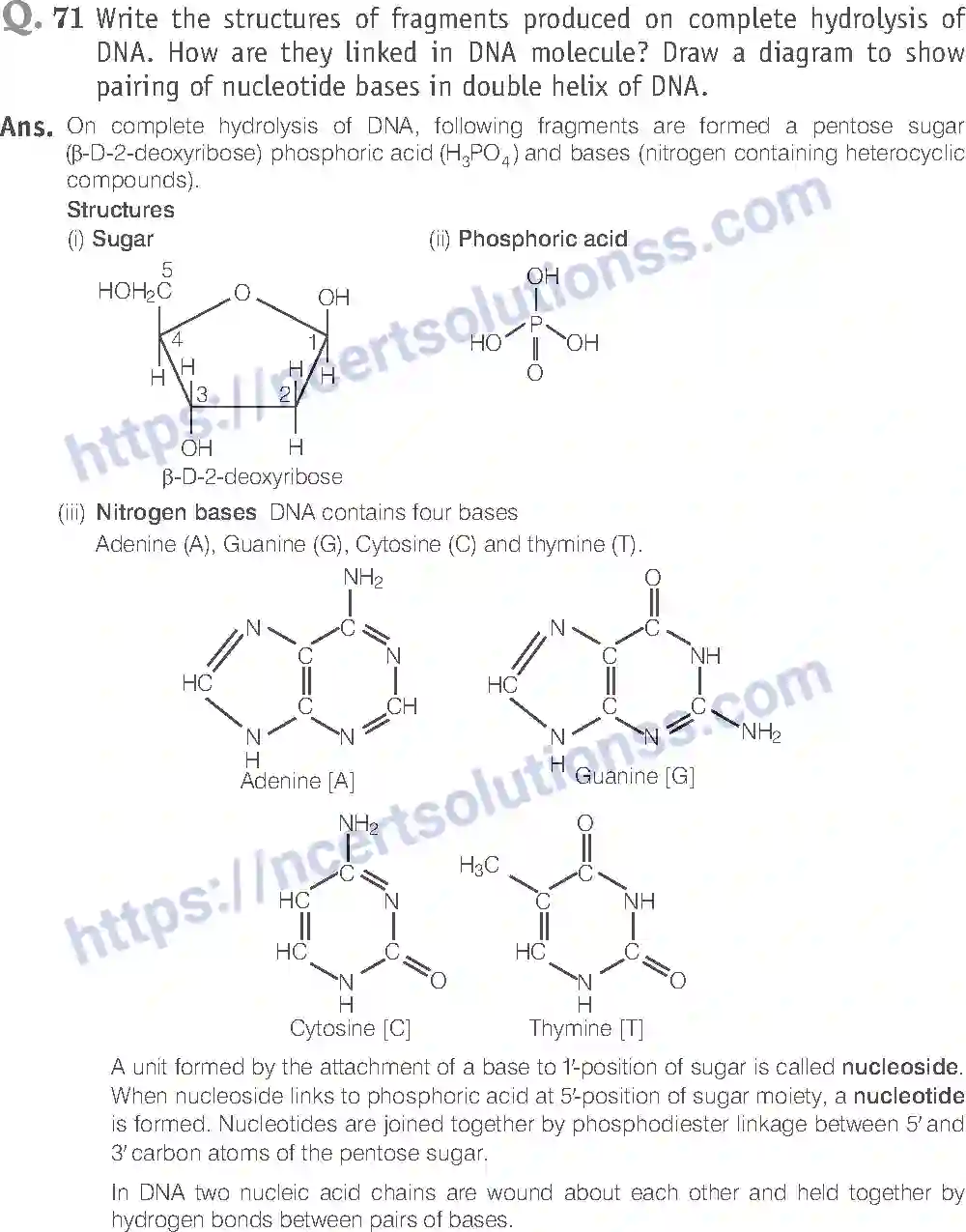 NCERT-Exemplar-Solution-Class-12-Chemistry-Biomolecules-43-page-27