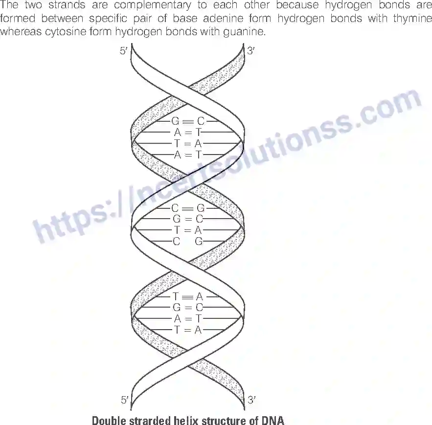 NCERT-Exemplar-Solution-Class-12-Chemistry-Biomolecules-43-page-28