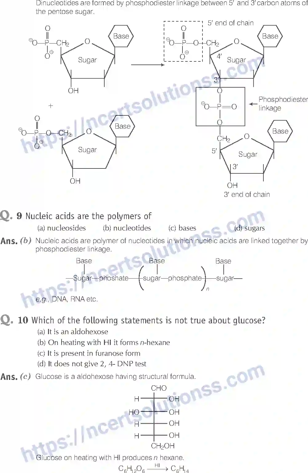 NCERT-Exemplar-Solution-Class-12-Chemistry-Biomolecules-43-page-5