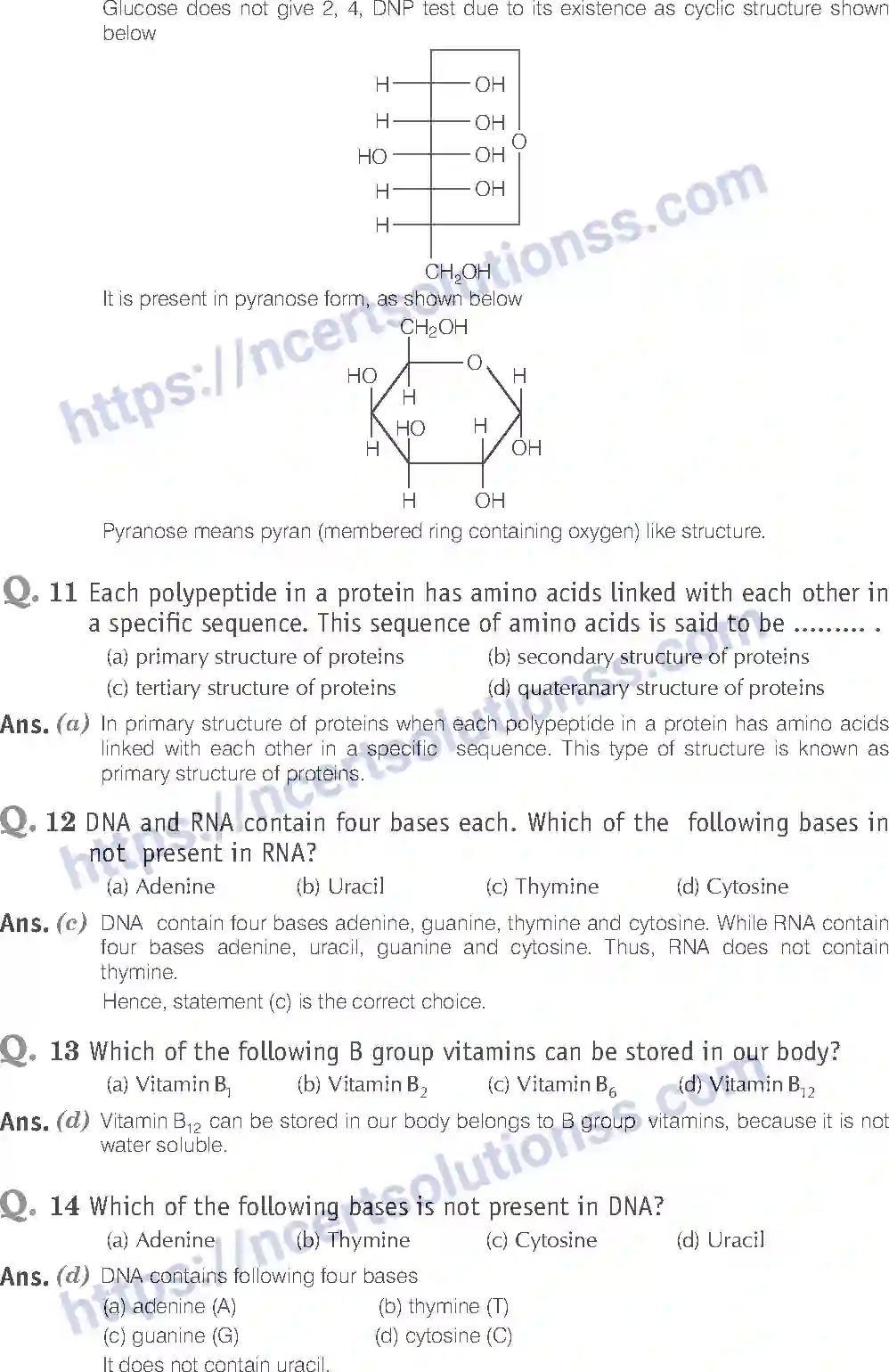 NCERT-Exemplar-Solution-Class-12-Chemistry-Biomolecules-43-page-6