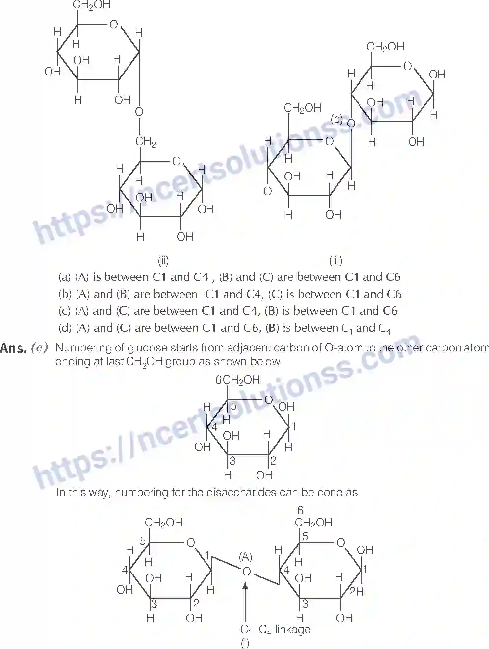 NCERT-Exemplar-Solution-Class-12-Chemistry-Biomolecules-43-page-9