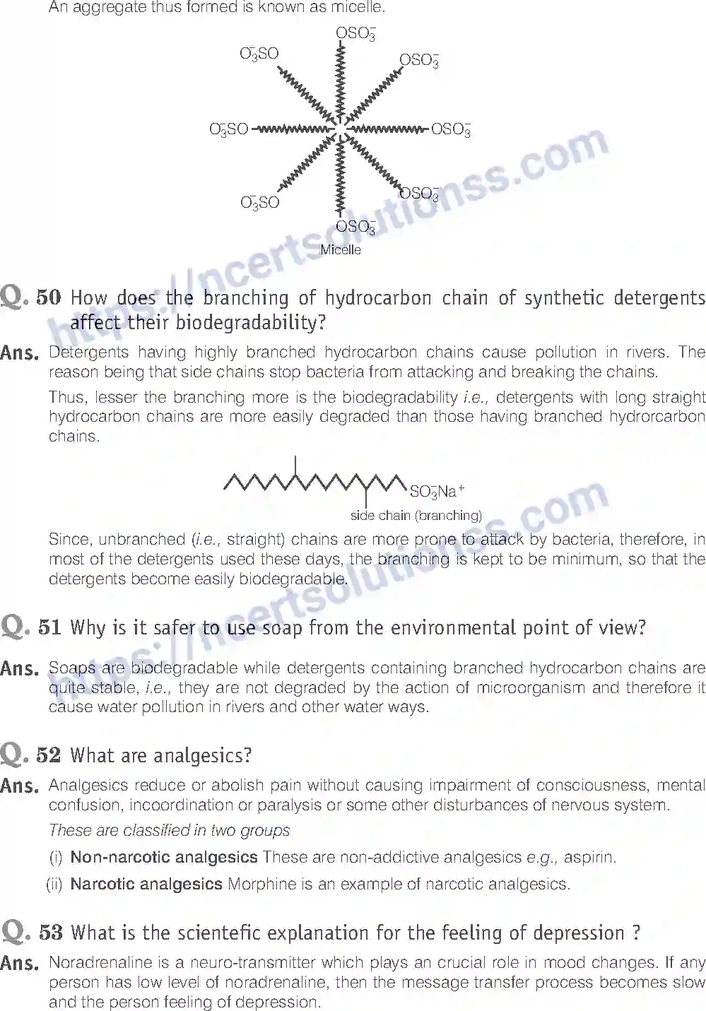 NCERT-Exemplar-Solution-Class-12-Chemistry-Chemistry-Everyday-Life-45-page-16