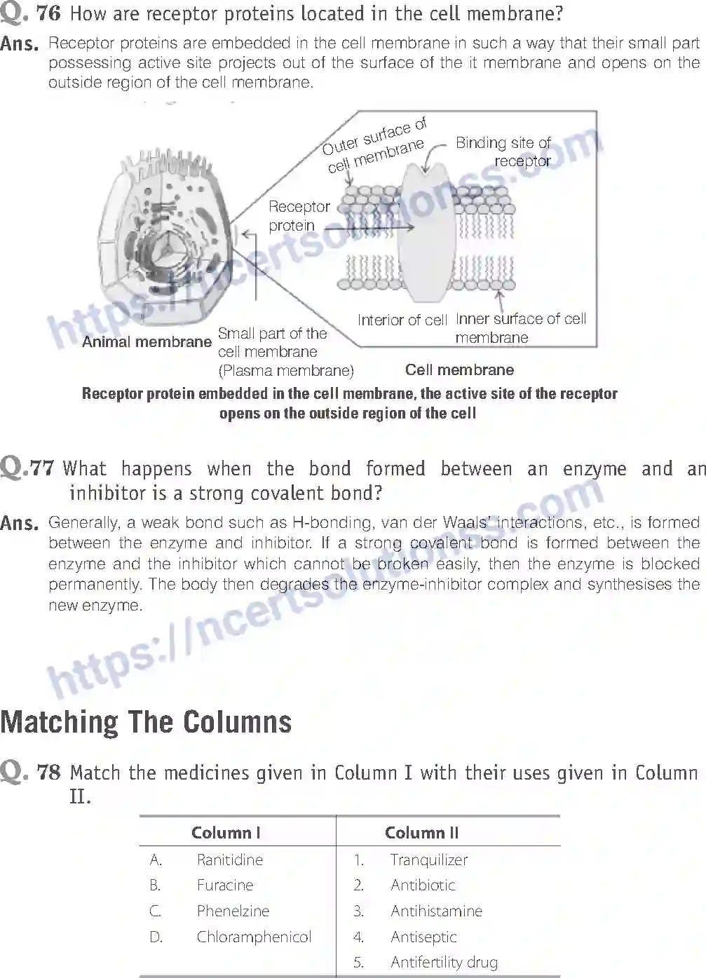 NCERT-Exemplar-Solution-Class-12-Chemistry-Chemistry-Everyday-Life-45-page-22
