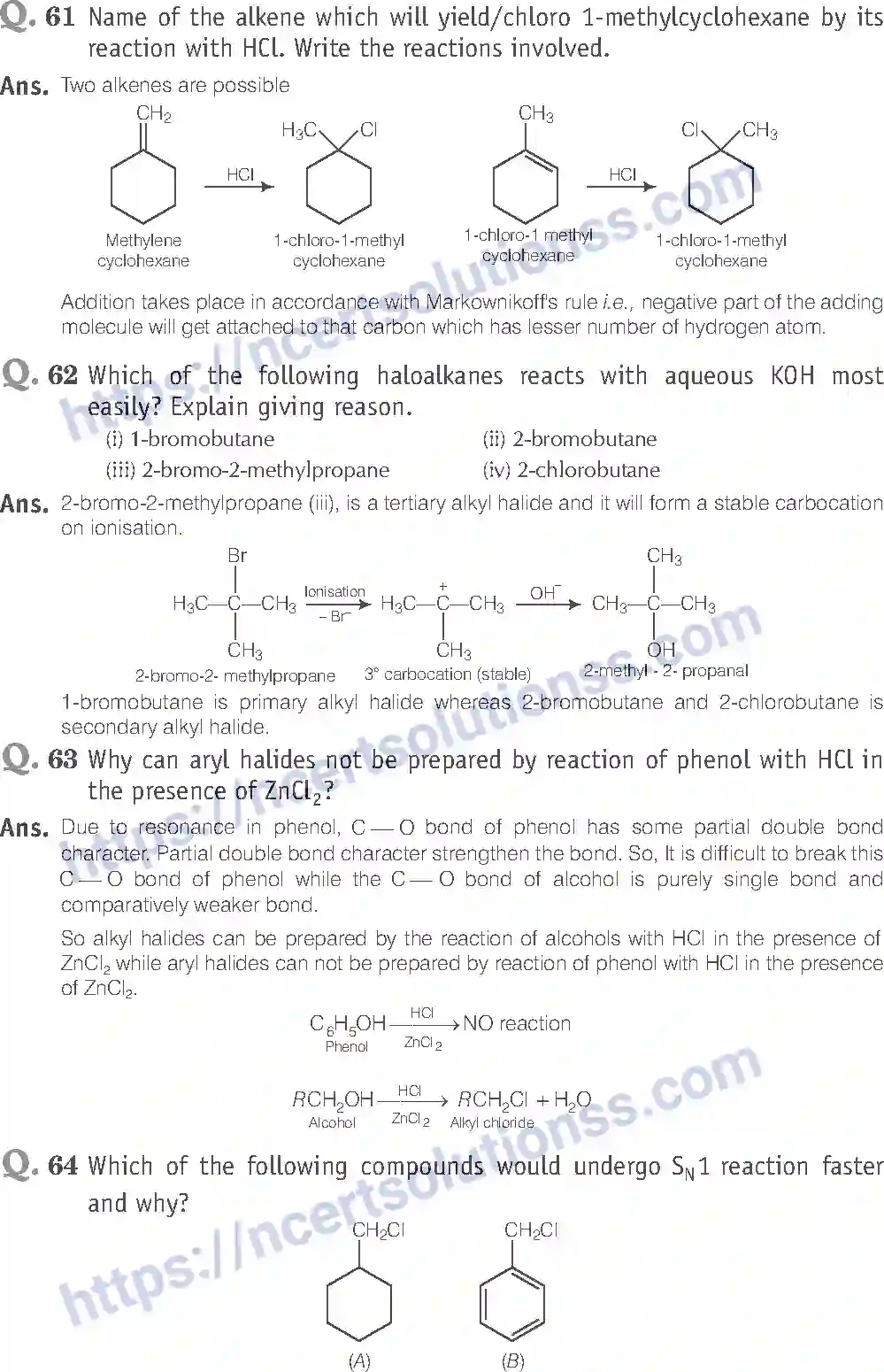NCERT-Exemplar-Solution-Class-12-Chemistry-Haloalkanes-and-Haloarenes-39-page-24