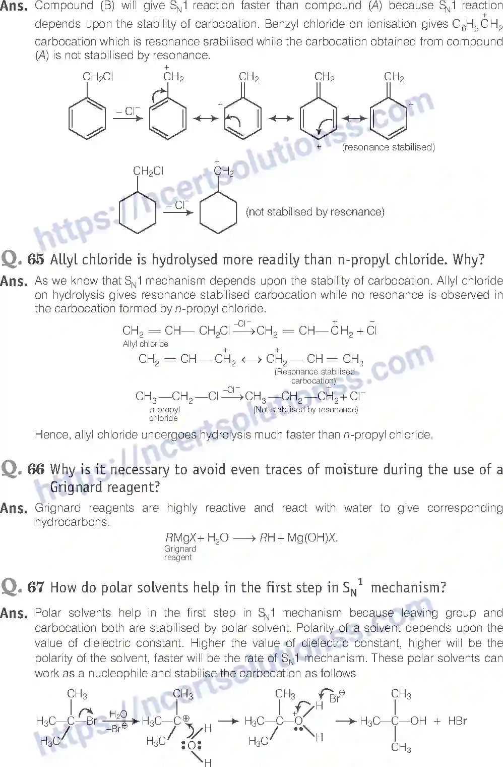 NCERT-Exemplar-Solution-Class-12-Chemistry-Haloalkanes-and-Haloarenes-39-page-25