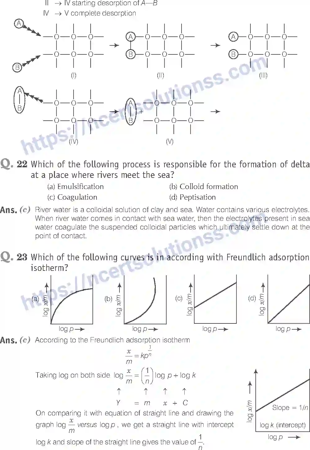 NCERT-Exemplar-Solution-Class-12-Chemistry-Surface-Chemistry-34-page-6
