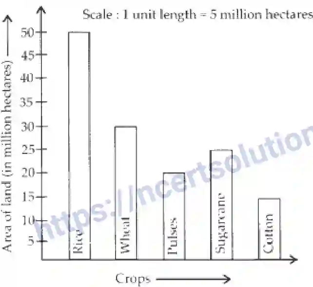 NCERT-Exemplar-Solution-Class-6-Mathematics-Data-Handling-250-page-33