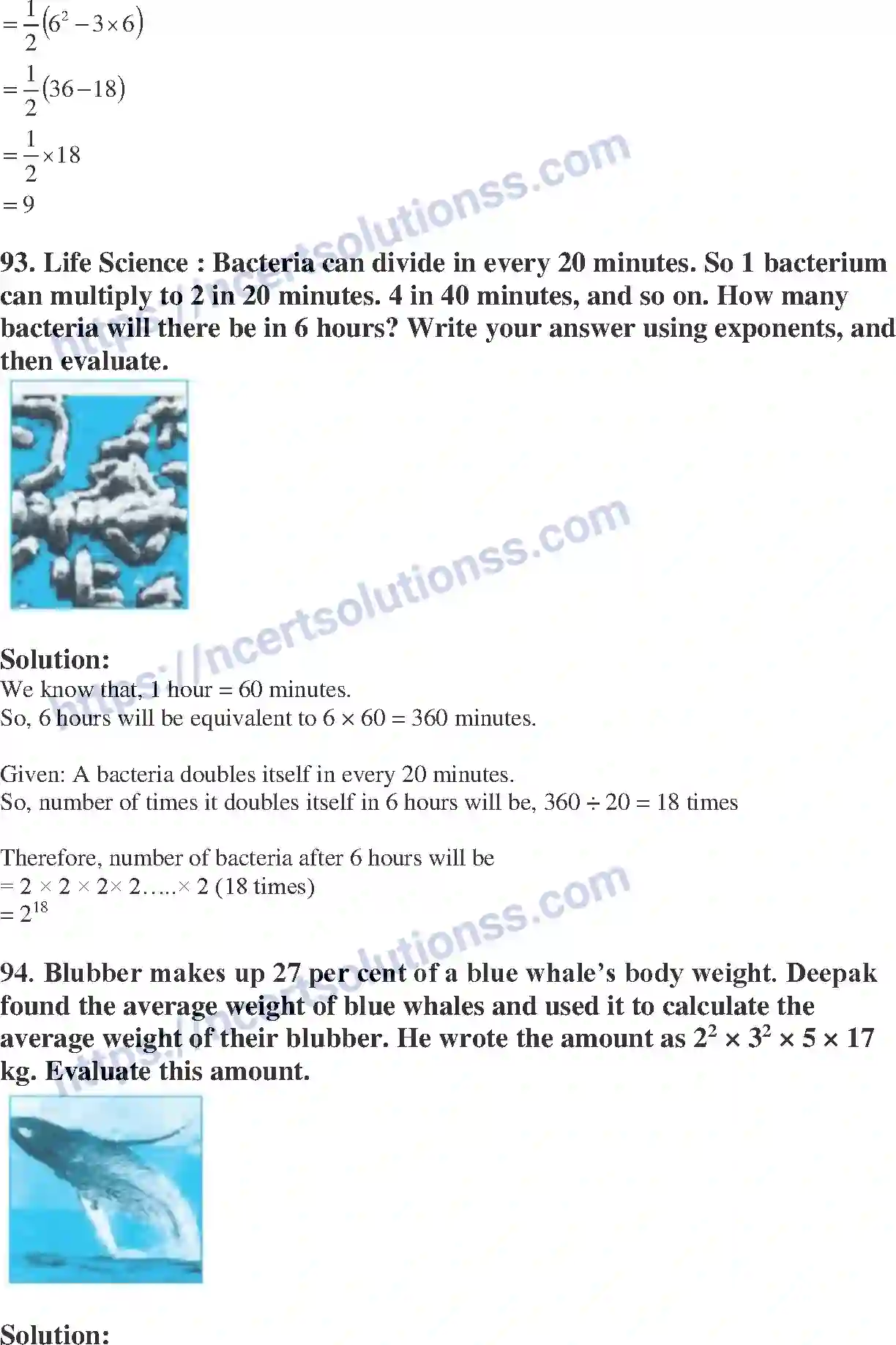 NCERT-Exemplar-Solution-Class-7-Mathematics-Exponent-226-page-31