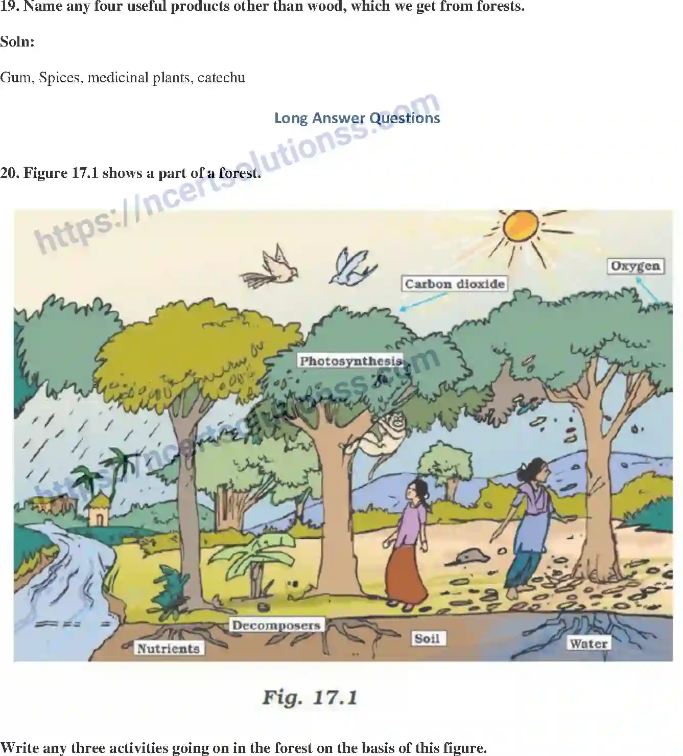 NCERT-Exemplar-Solution-Class-7-Science-Forests-Our-Lifeline-244-page-6