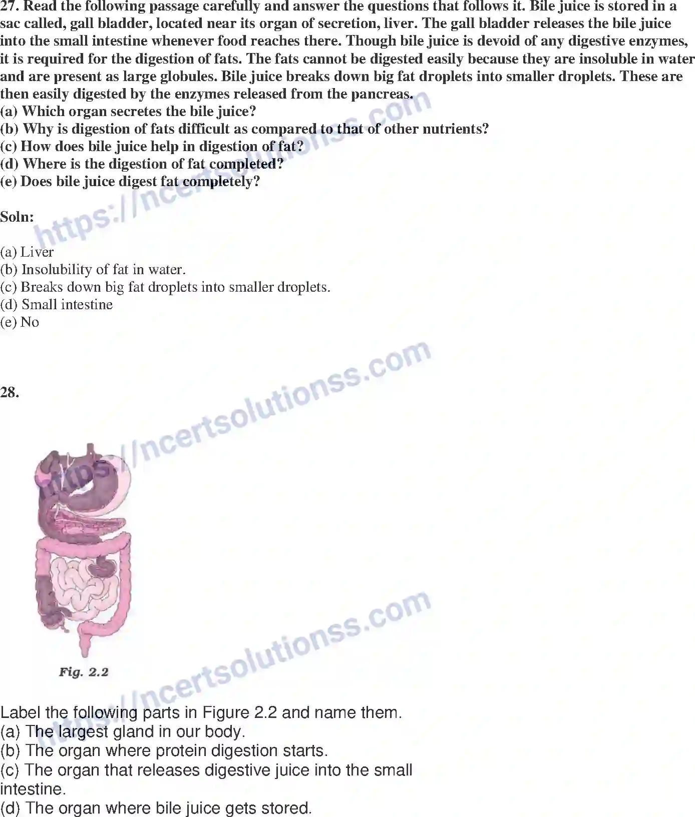 NCERT-Exemplar-Solution-Class-7-Science-Nutrition-in-Animals-229-page-11