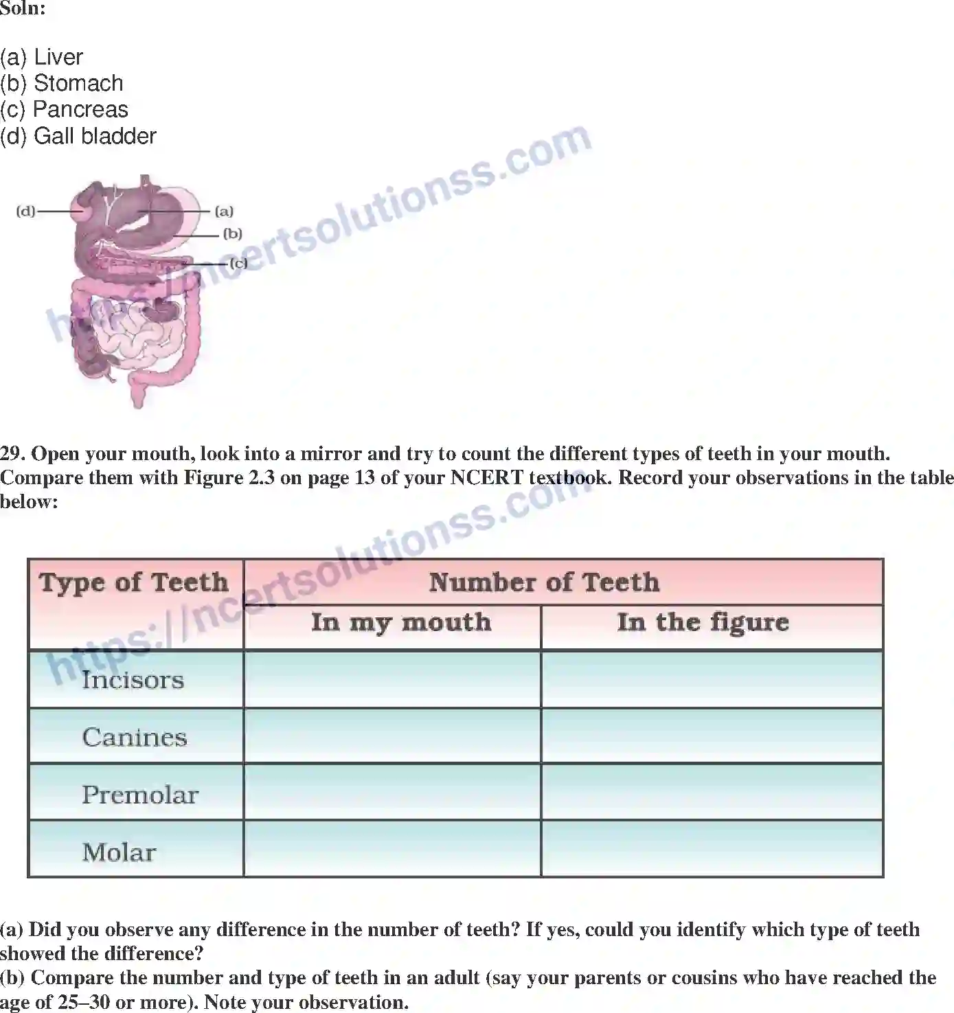 NCERT-Exemplar-Solution-Class-7-Science-Nutrition-in-Animals-229-page-12