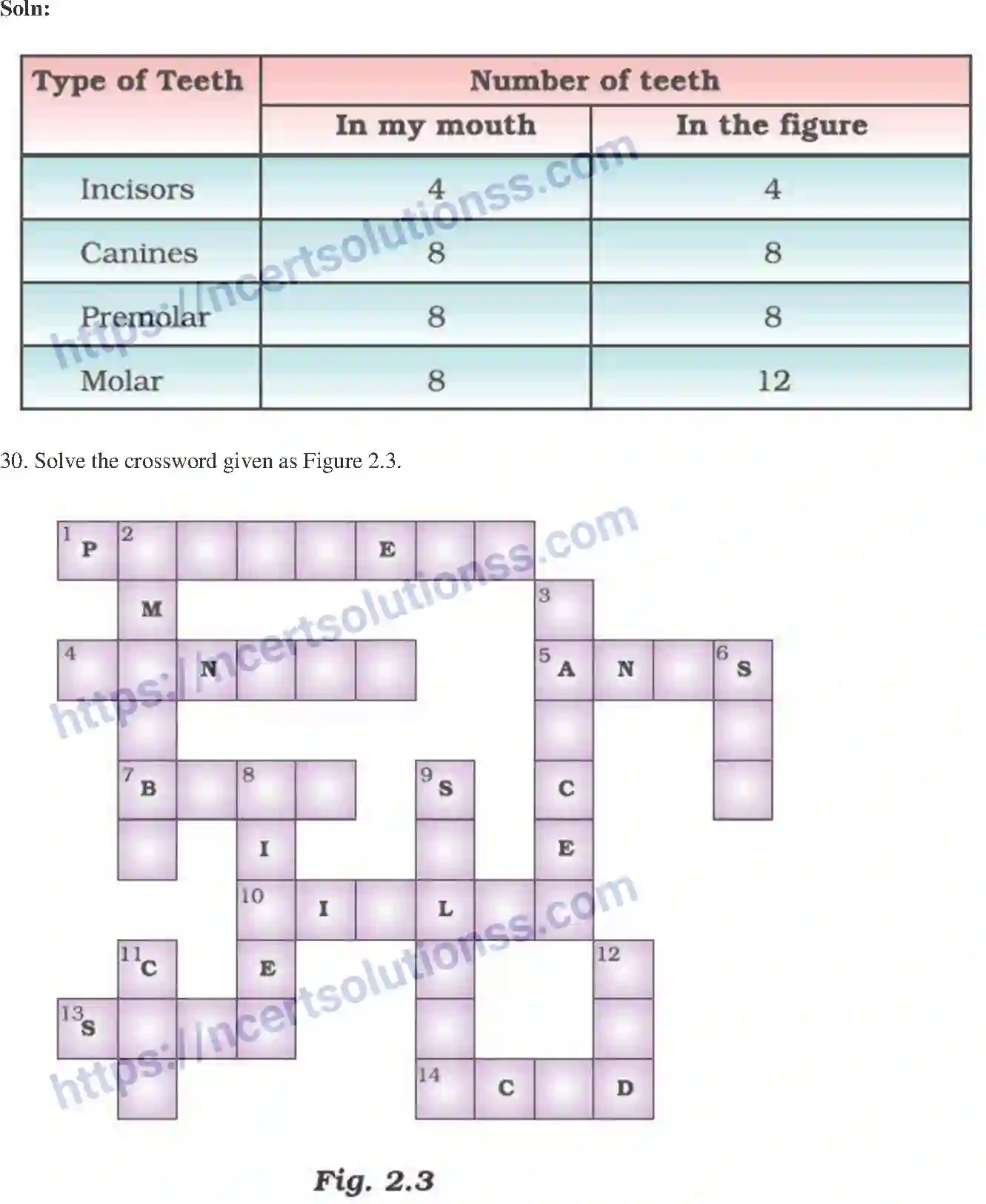 NCERT-Exemplar-Solution-Class-7-Science-Nutrition-in-Animals-229-page-13