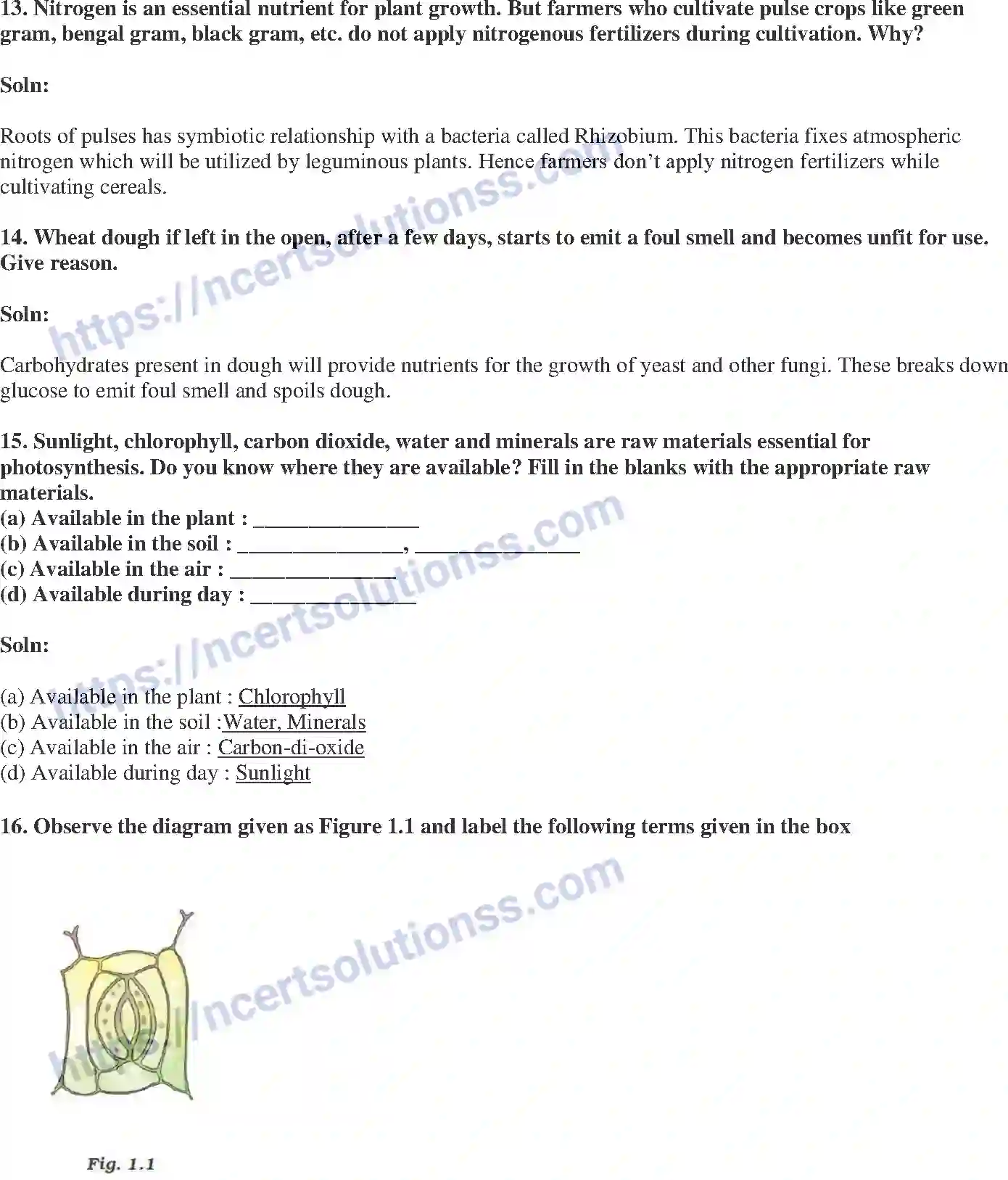 NCERT-Exemplar-Solution-Class-7-Science-Nutrition-in-Plants-228-page-5