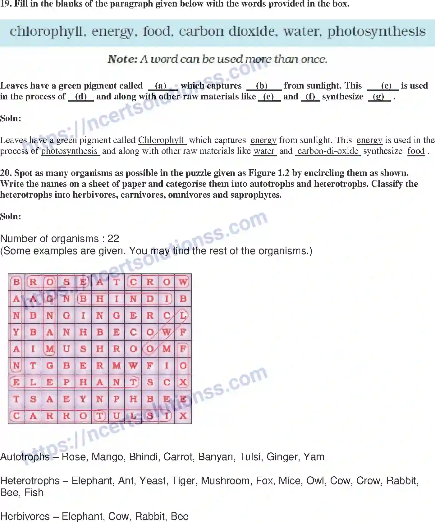 NCERT-Exemplar-Solution-Class-7-Science-Nutrition-in-Plants-228-page-7