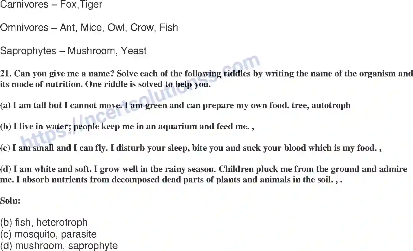 NCERT-Exemplar-Solution-Class-7-Science-Nutrition-in-Plants-228-page-8