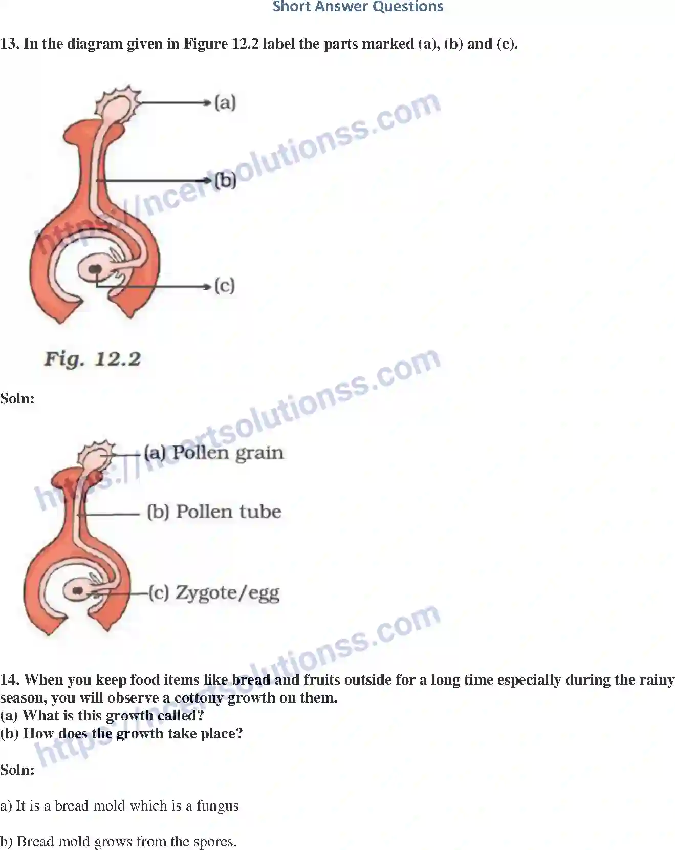 NCERT-Exemplar-Solution-Class-7-Science-Reproduction-in-Plants-239-page-5