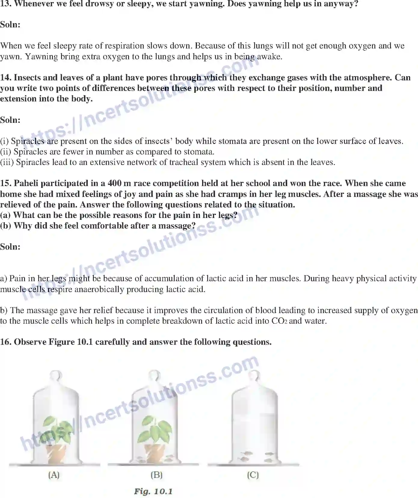 NCERT-Exemplar-Solution-Class-7-Science-Respiration-in-Organisms-237-page-5