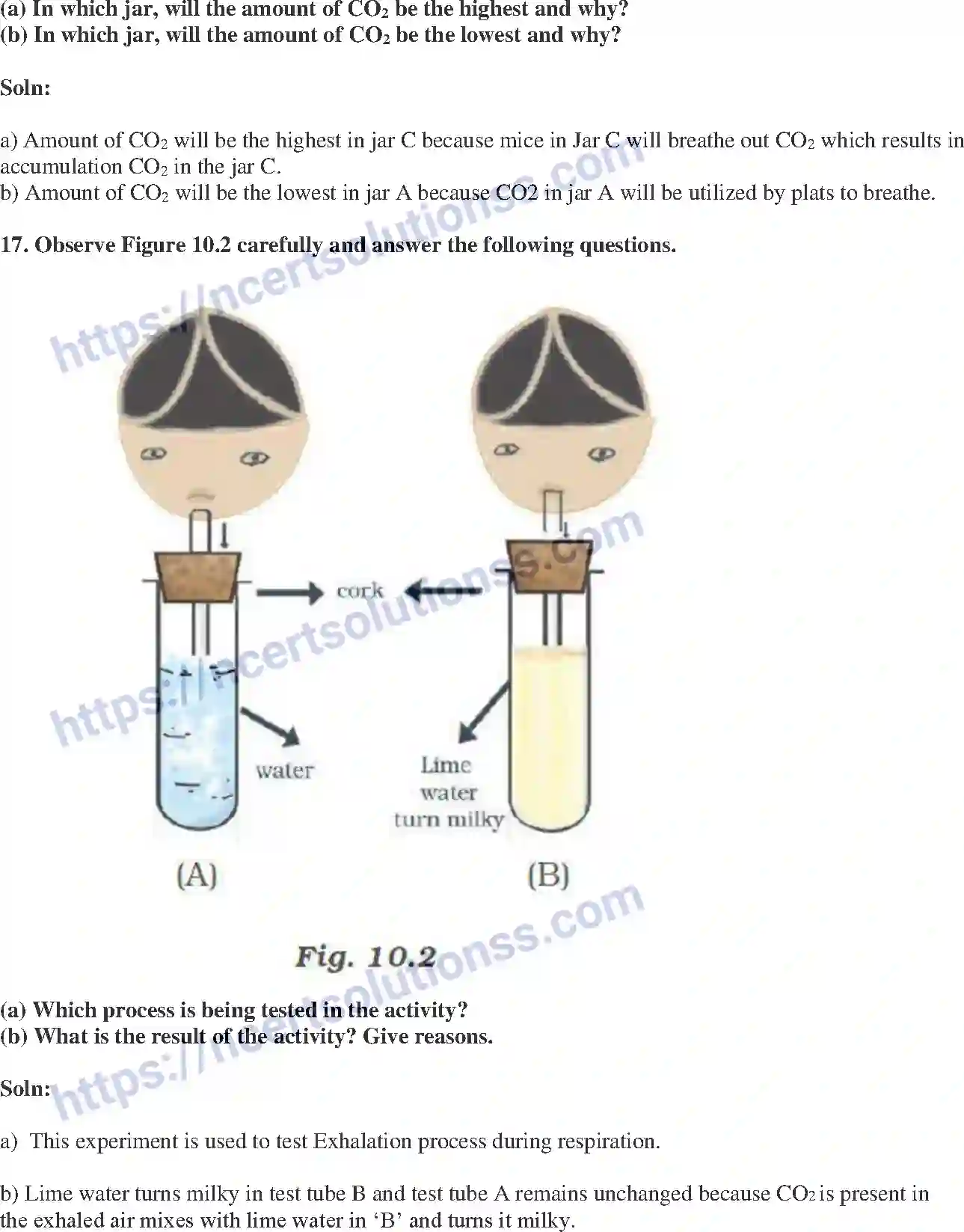 NCERT-Exemplar-Solution-Class-7-Science-Respiration-in-Organisms-237-page-6